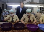 Gençlik ve Spor Bakanı Akif Çağatay Kılıç, Samsun'un Çarşamba İlçesi'nde fındık fabrikasını ziyaret etti.