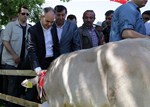 Gençlik ve Spor Bakanı Akif Çağatay Kılıç, Arslançayır Yaylası'nda bu yıl 96.sı düzenlenen Atatürk'ü Anma ve Termal Turizm Festivali'ne katıldı.